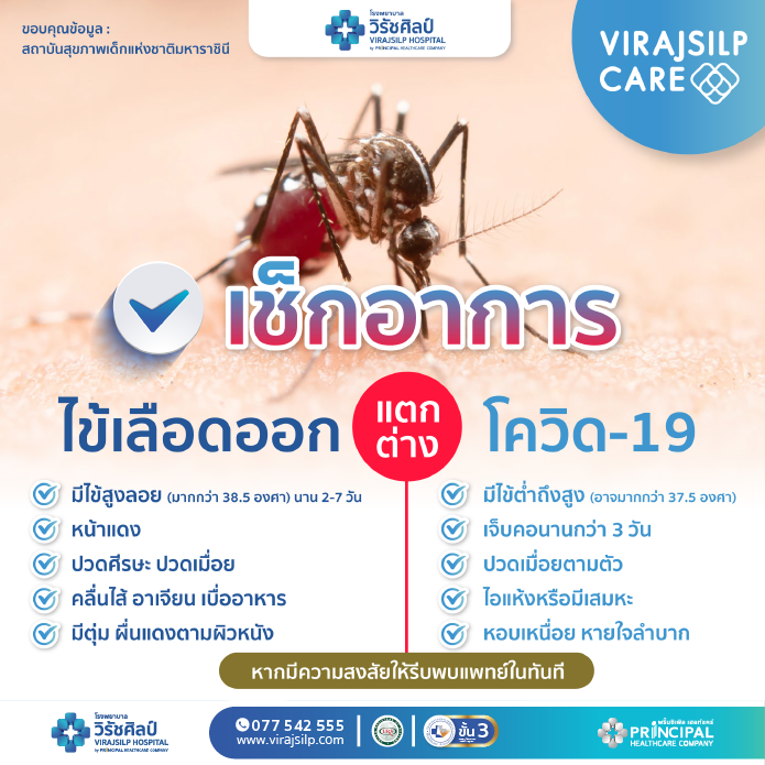 “ไข้เลือดออก” และ “โควิด-19” มีวิธีการสังเกตอาการความแตกต่างอย่างไร?