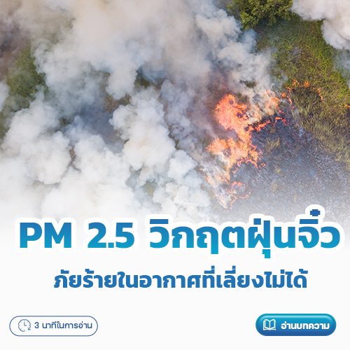 PM 2.5 วิกฤตฝุ่นจิ๋ว: ภัยร้ายในอากาศที่เลี่ยงไม่ได้ | โรงพยาบาลพริ้ซ์ ลำพูน
