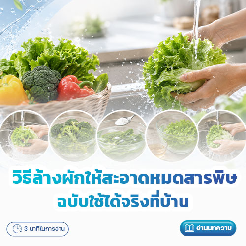 วิธีล้างผักให้สะอาดหมดสารพิษ ฉบับใช้ได้จริงที่บ้าน | โรงพยาบาลพริ้นซ์ ลำพูน