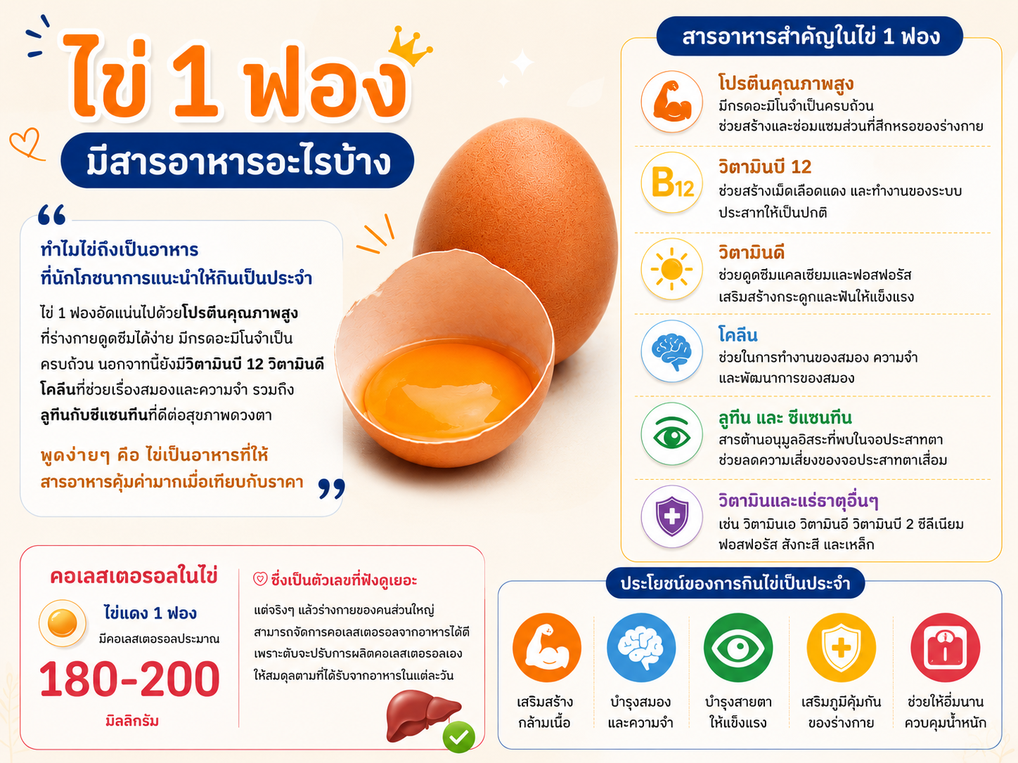 กินไข่วันละกี่ฟอง ถึงจะพอดี ไม่เสี่ยงโรค