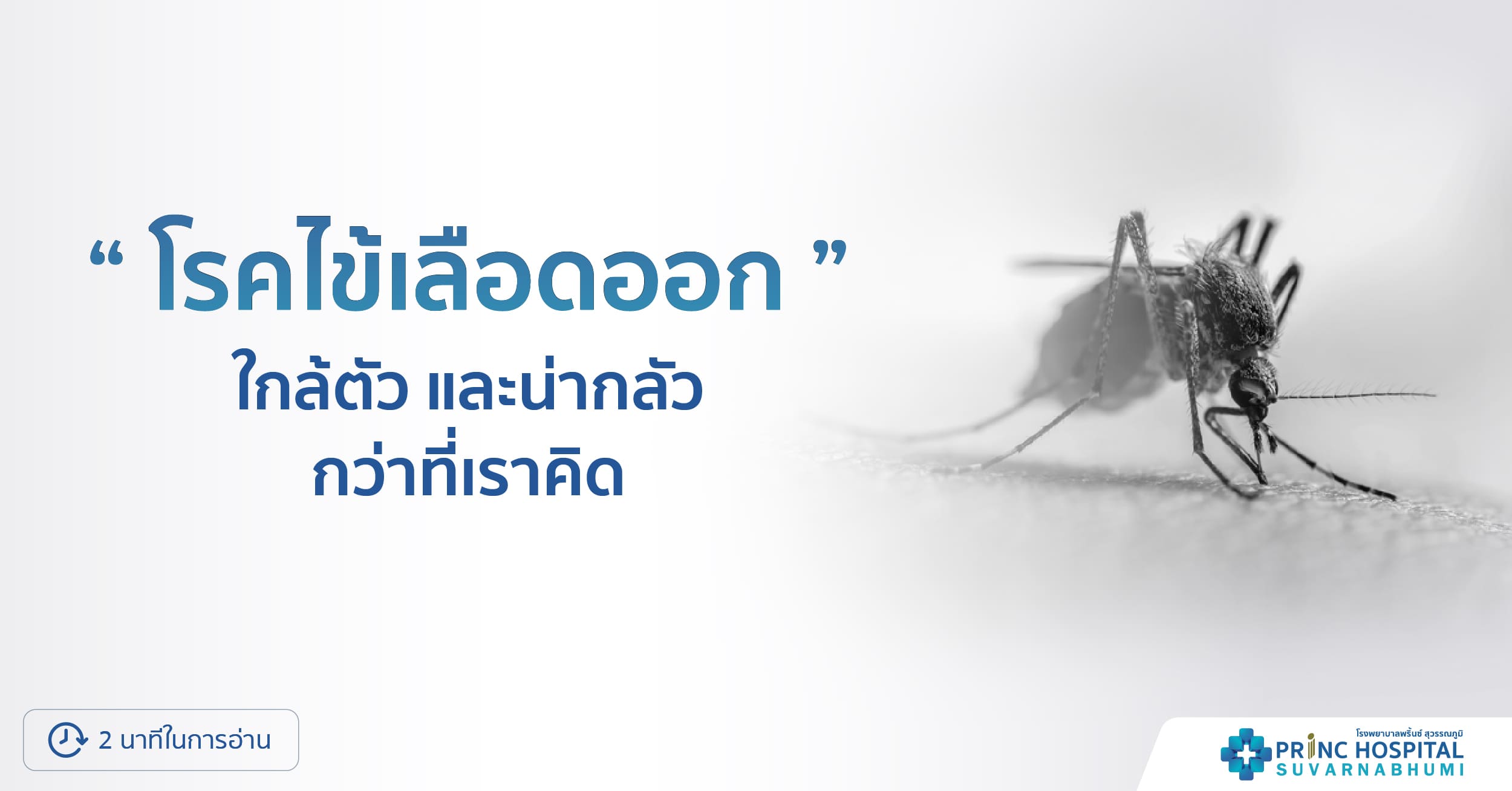ไข้เลือดออก (Dengue fever) โรงพยาบาลพริ้นซ์ สุวรรณภูมิ