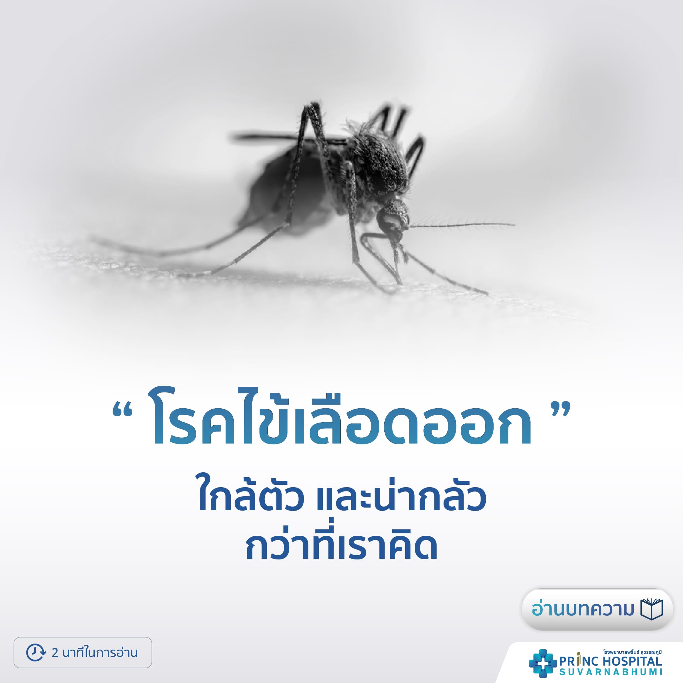 ไข้เลือดออก (Dengue fever) โรงพยาบาลพริ้นซ์ สุวรรณภูมิ
