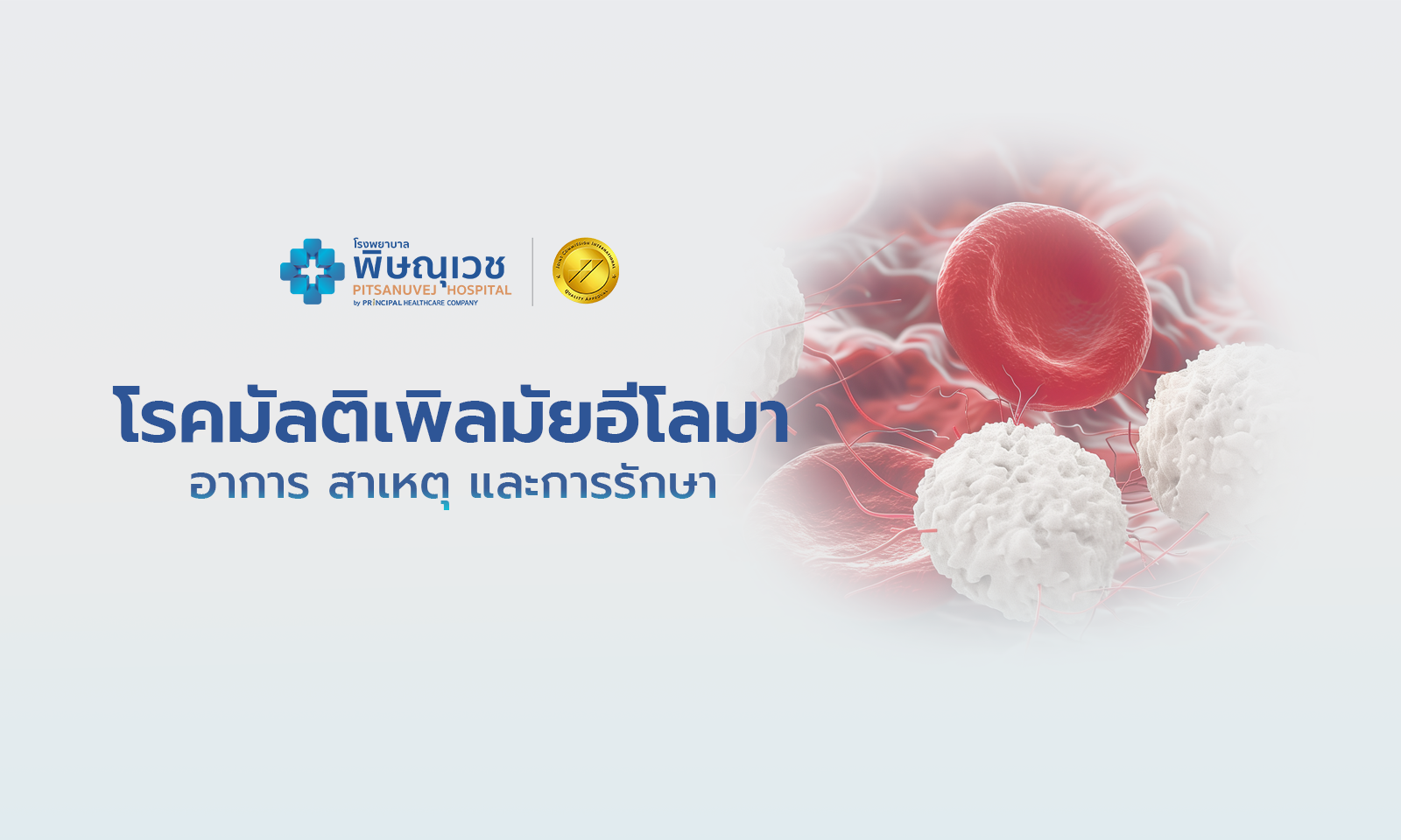 โรคมัลติเพิลมัยอีโลมา (Multiple Myeloma) | อาการ สาเหตุ และการรักษา