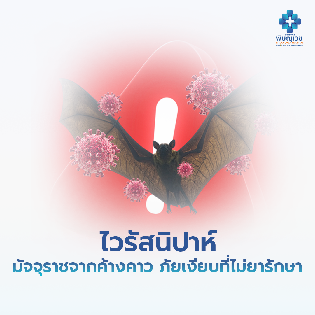 ไวรัสนิปาห์ (Nipah virus หรือ NiV)