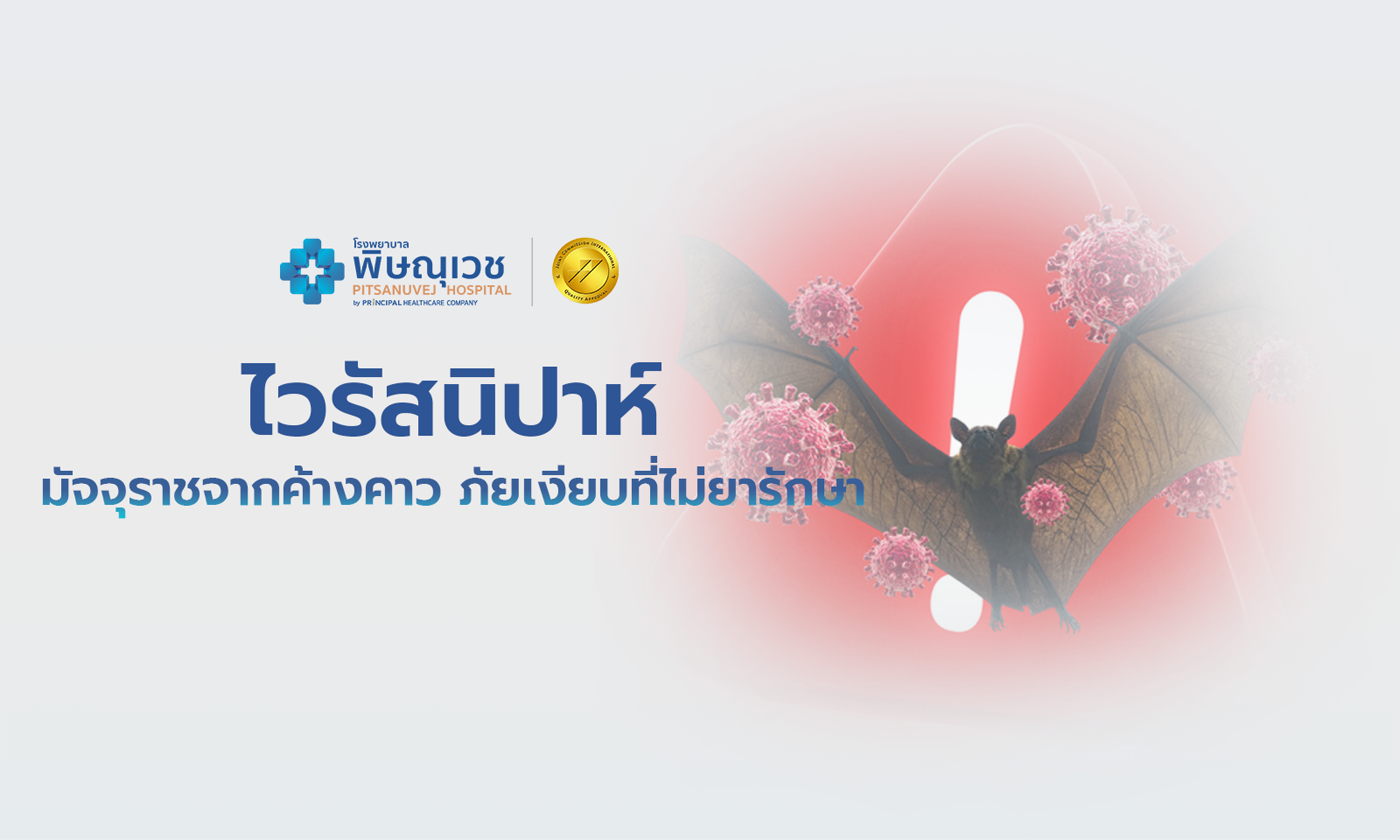 ไวรัสนิปาห์ (Nipah virus หรือ NiV)