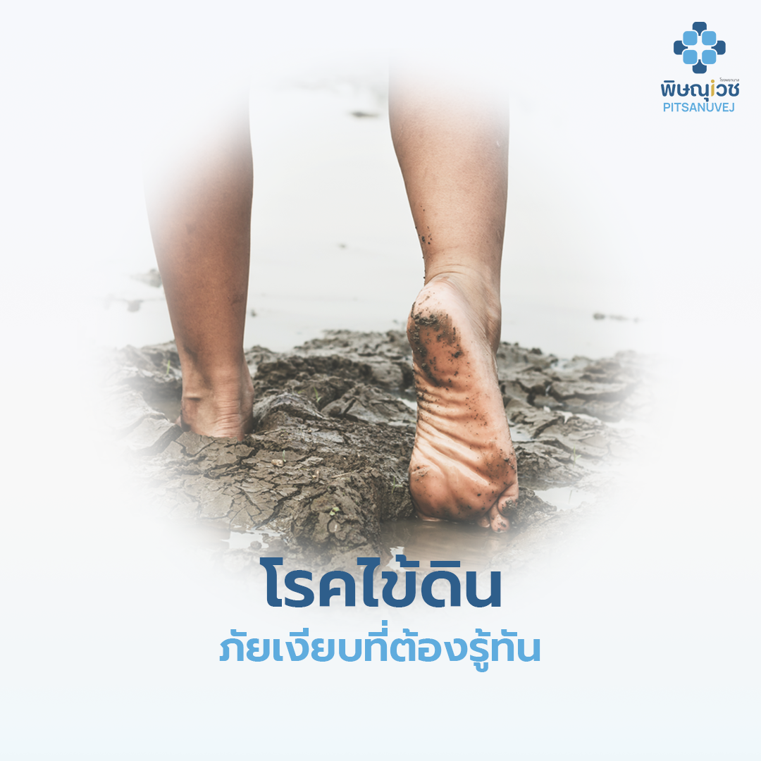 โรคไข้ดิน 2569 ภัยเงียบที่กำลังระบาดในประเทศไทย