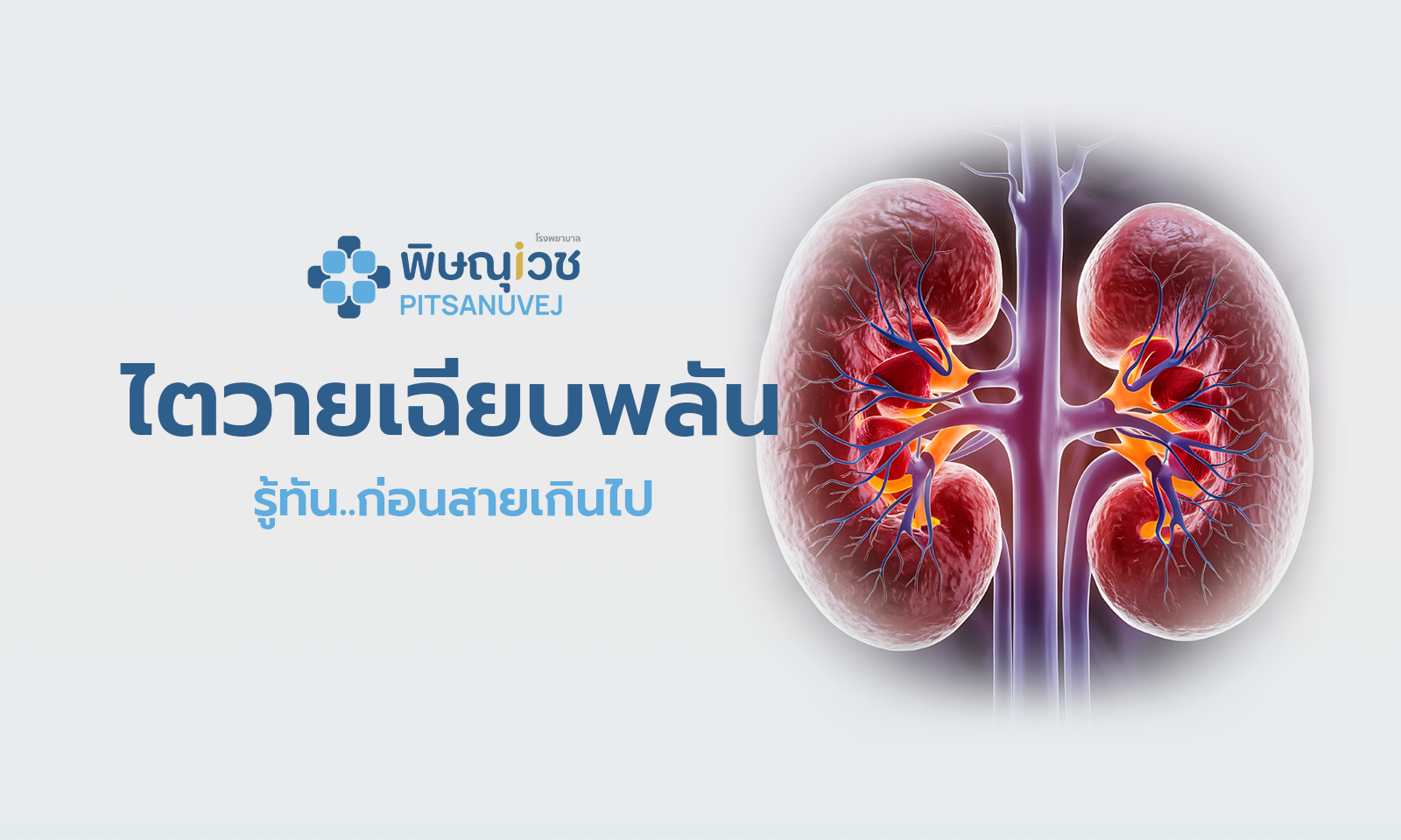 ไตวายเฉียบพลัน (Acute Kidney Injury) รู้ทันก่อนสายเกินไป
